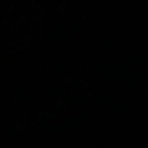 Meet your Posher, Cayden